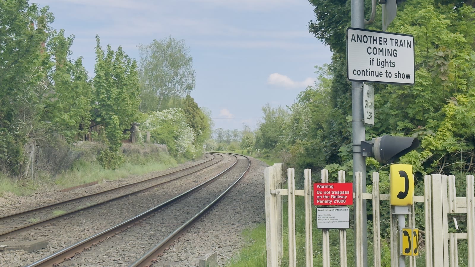 Railway tracks curving through green trees beyond a level crossing